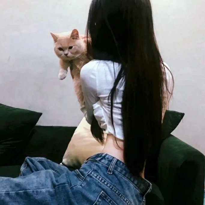 谋杀，她写道：西南偏南